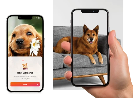 Experience based e-shopping feature in Petcare website