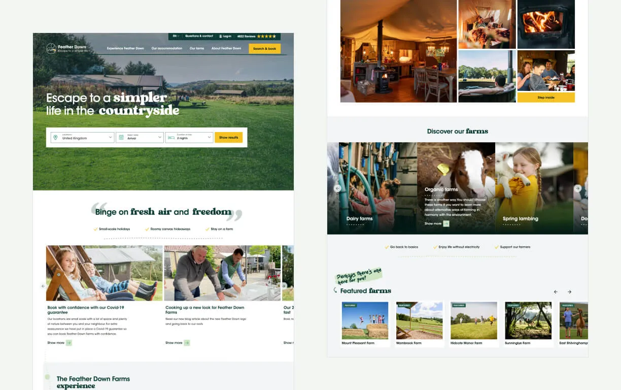 Feather Down – Case study