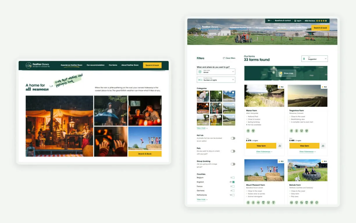 Feather Down Case-study