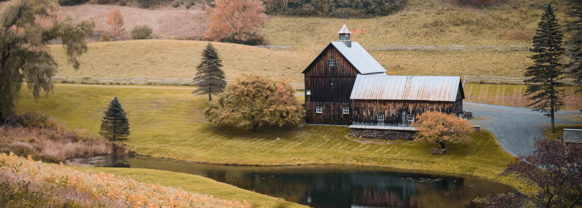 Feather Down – Casestudy