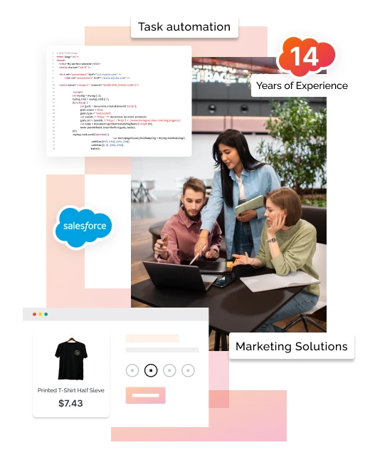 Image Content Section