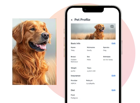 Petcare website - Personalised Pet Profiles Feature