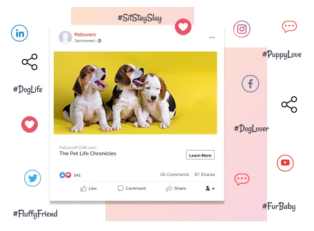 Pet Social Network Feature in eCommerce Solutions