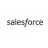 salseforce_2024