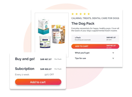 Subscription Box Models