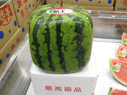 square watermelon