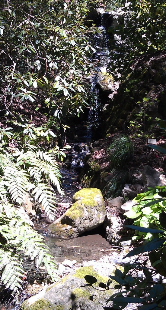 botanical-garden-waterfall